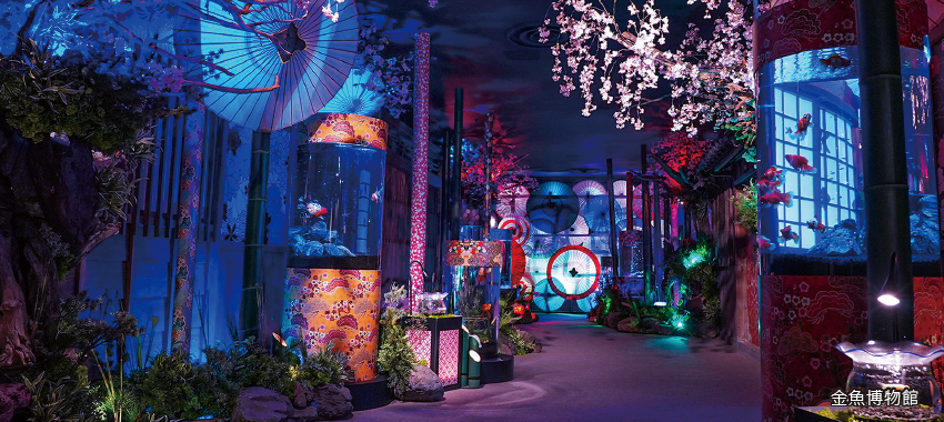 奈良金魚博物館